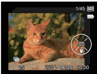 KODAK APN_Bridge_Digital_AZ528 - Continuous Capture Group Playback - 1