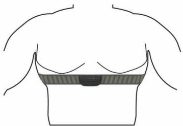 GARMIN CEINTURE CARDIO - Installation du monitreur de fréquence cardiaque - 3