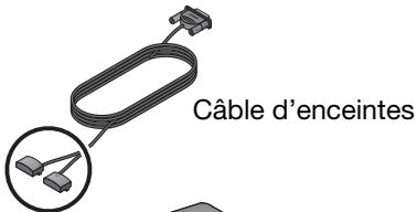 BOSER CINEMATE GS II - Connexion des enceintes au module acoustimass® - 1