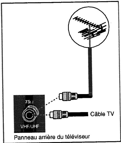 PROLINE S2805 - Branchement de la prise RF - 1