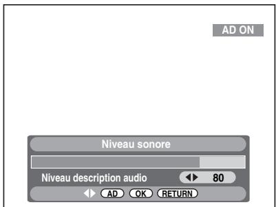 TOSHIBA RD-H100DT - Pendant l'affichage d'un programme DVB, appuyez sur [AD]. - 1
