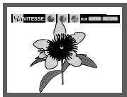 SAMSUNG DVD-P1080P7 - Diaporama - 4