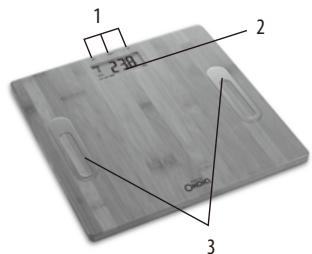 OKOIOBFBAMBOO NC - DESCRIPCION - 1