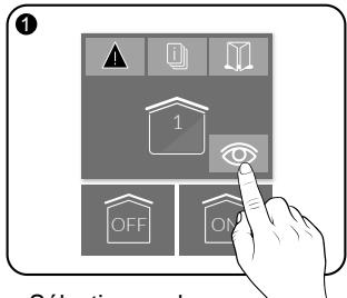 DELTA DORE Pack Alarm TYXAL + tydom 2.0 - Demande de visualisation à distance - 3