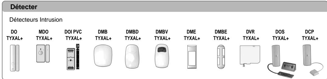 DELTA DORE Pack Alarm TYXAL + tydom 2.0 - Principe de fonctionnement - 2