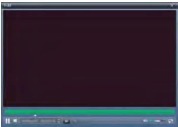 HITACHI DZHV590E - Édition des clips vidéo - 1