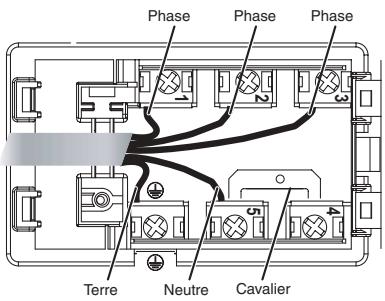 SCHOLTES TEP 635 DOLCO - Autres types de branchement - 1