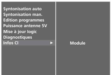 LG-GOLDSTAR 50PC35 - INFOS CI (INTERFACE COMMUNE) (EN MODE NUMÉRIQUE UNIQUEMENT) - 4