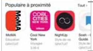 APPLE IPH5C BL 166B - Rechner des applications - 2