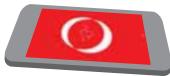 APPLE IPH5C BL 166B - Niveau - 9