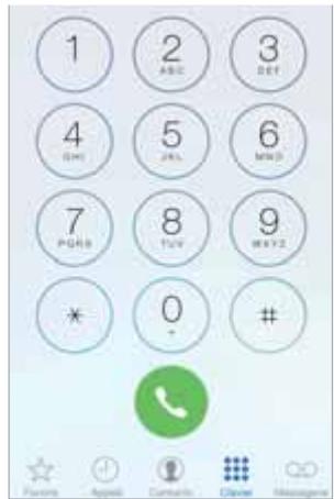 APPLE IPH5C BL 166B - Passer un appel - 1