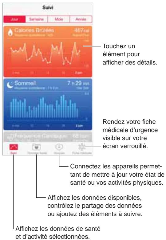 APPLE IPH5C BL 166B - Votre santé en un coup d'oeil - 1
