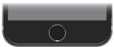 APPLE IPH5C BL 166B - Bouton principal - 1