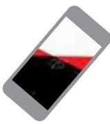 APPLE IPH5C BL 166B - Niveau - 6
