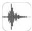 APPLE IPH5C BL 166B - Niveau - 10