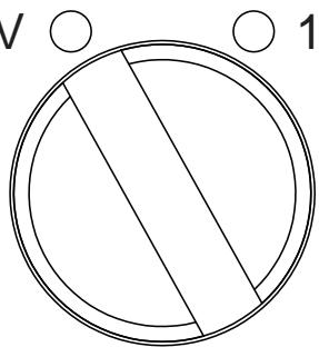 PROLINE RTLO - DESCRIPTION - 2