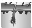 BEURER EpilateurIPL 5800 - 57500 kK gh - Fonctionnement de la technologie IPL - 1