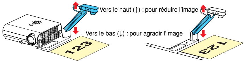 Vers le haut (↑) : pour réduire l'image Vers le bas (↓) : pour agradir l'image