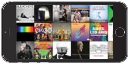 APPLE IPH6 GOLD 1286B - Mur d'albums - 1