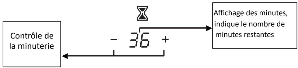 PROLINE VH334T - Minuterie - 1