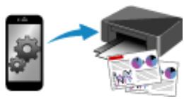 CANON TS6250 - Important - 5