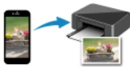 CANON TS6250 - Manipulation du papier - 2