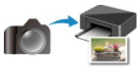 CANON TS6250 - Manipulation du papier - 4