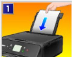 CANON TS6250 - Code de support : 1000 - 1