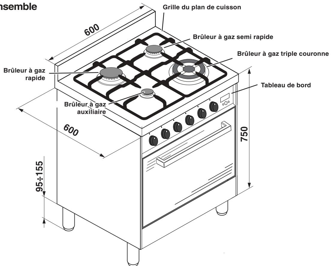 HOTPOINT-ARISTON CP 65 SF - Tableau Caracteristiques des brûleurs et des injecteurs - 1