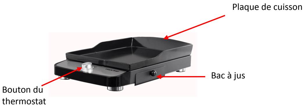 PROLINE PRO43 - DESCRIPTION - 1
