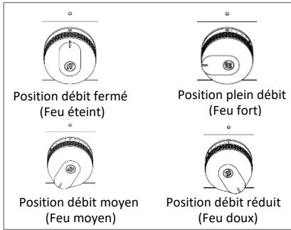 LEMARQUIER PLTI2601 - ALLUMAGE DU GRILLOIR PAR CONTACT "PLANCHA" - 1