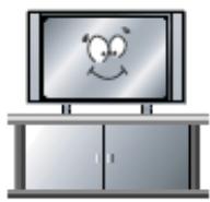 TOKAI LTL1601/MPEG2 - Précautions - 3