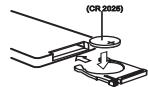 CLARION CZ309E - Insertion de la pile - 1