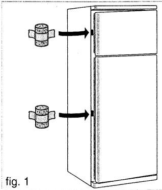 SAUTER DVA 28 - REEMPLACEMENT DE LA LAMPE - 1