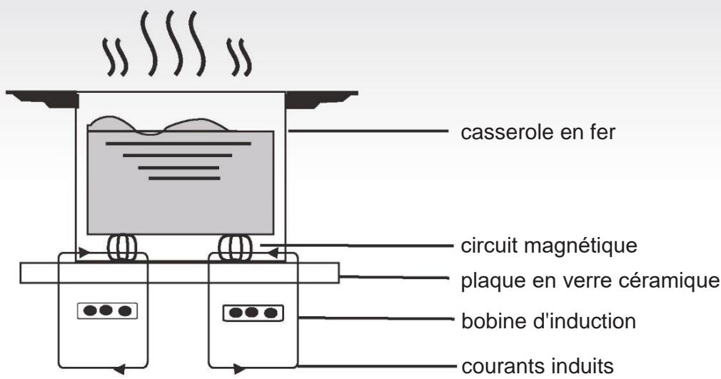 HAIER HAIDSJP63MC - Principe de fonctionnement - 1