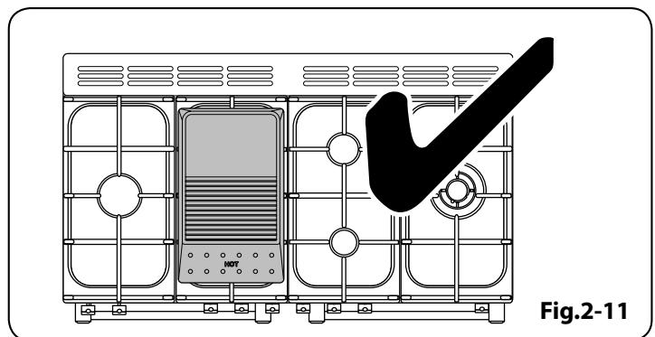 FALCON RiTCHENER 110DFi/B-EU - Plaque à Griller (Option) - 7