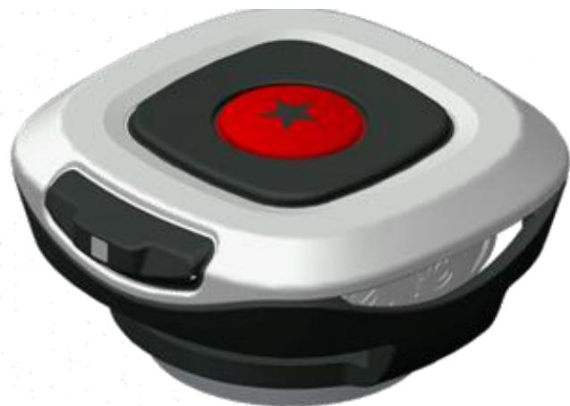 TOMTOM BANDIT BASIC - Utilisation de la télécommande (en option) - 1