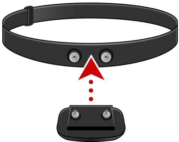 TOMTOM BANDIT BASIC - Le cardio-fréquencemètre - 1