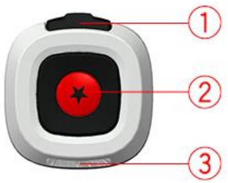 TOMTOM BANDIT BASIC - Utilisation de la télécommande pour l'enregistrement d'un film - 1