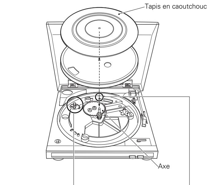 DENON DP29F - AVANT D'UTILISER LA TABLE DE LECTURE - 1