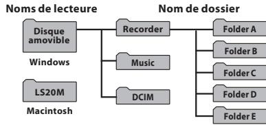 OLYMPUS LS-20M - Carte SD - 1