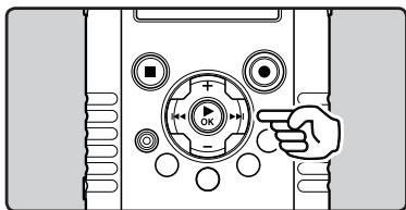 OLYMPUS LS-20M - Avance rapide - 1