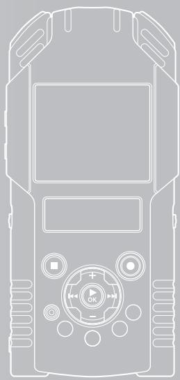 OLYMPUS LS-20M - DETAILLE - 1