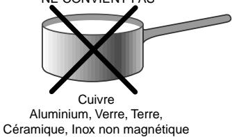 SCHOLTES CI 86 TAC - Conseils d'utilisation de votre appareil - 2