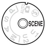 NIKON D610 - Photographie créative (Modes scène) - 1