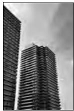 NIKON D610 - Perspective - 2
