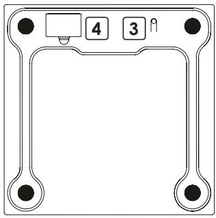 TERRAILLON Pese personne SMART BODY - APERCU - 2