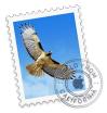 APPLE MACBOOKPRO 15.4 MJLT2F - Mail - 1