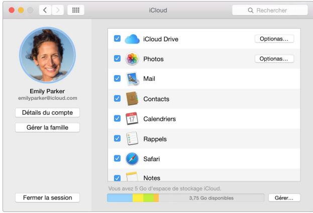 APPLE MACBOOKPRO 15.4 MJLT2F - Configuration - 4