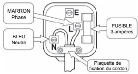 PROLINE NC171MP3BC - Câblage de la fiche du cordon d'alimentation pour une utilisation au Royaume-Uni - 1